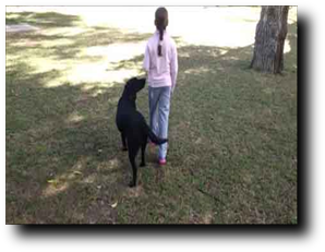 Precios, Metdología en Servicios Ofrecidos