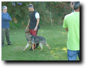 Precios, Metodología en Servicios Prestados