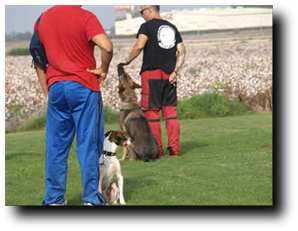 Precios, Metdología en Servicios Ofrecidos